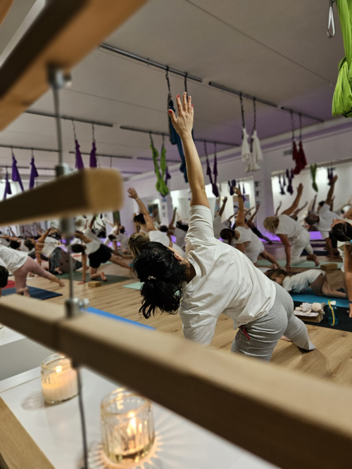 Hatha Yoga Vinyasa  LG 7.30