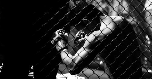 Corso di MMA - Adulti