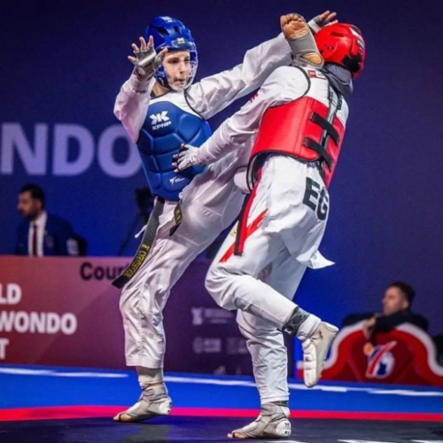 TAEKWONDO AGONISTI ALTO LIVELLO